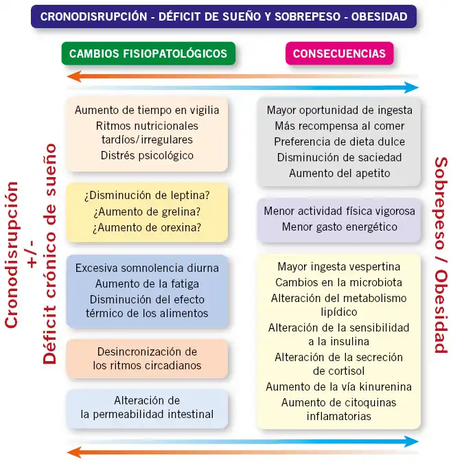 ¿Qué es la vigilia localizada durante el sueño y por qué cambia la neurociencia del sueño?