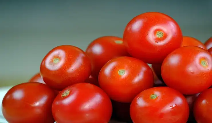 Alerta Sanitaria por Contaminación de Tomates con Cadmio en Europa
