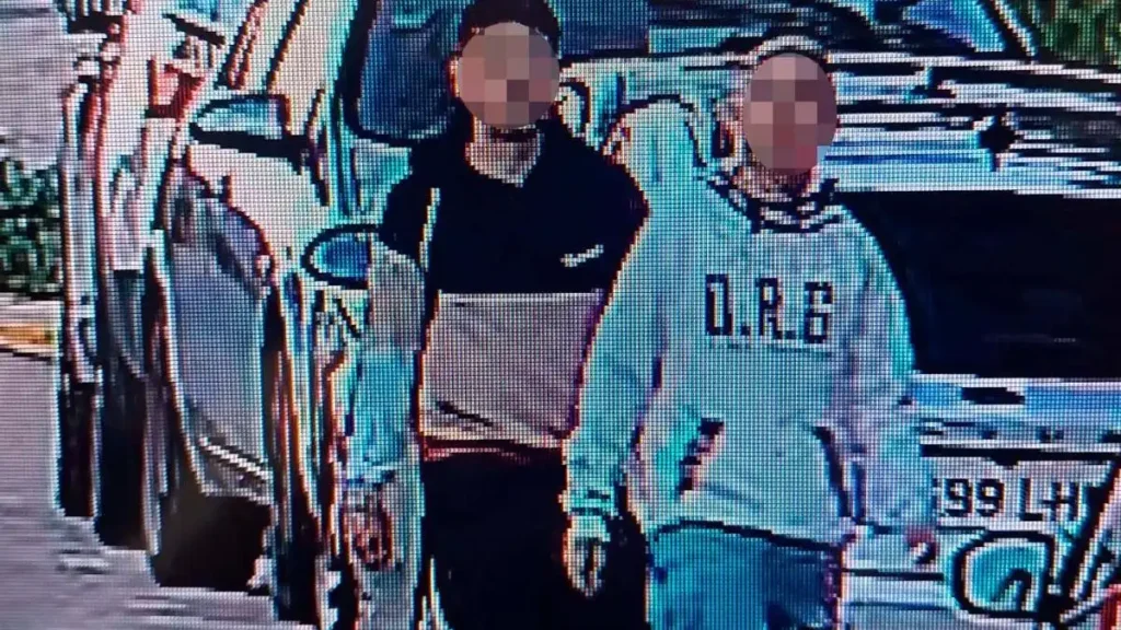 Detención de Hermanastros por Agresión a Policía en Vinalesa: Un Caso de Violencia y Robo