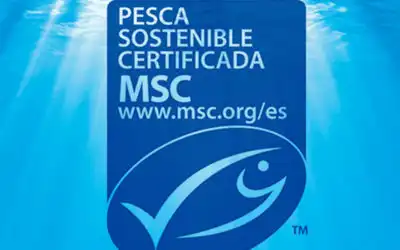Grupo Profand: líder español de la pesca y transformación marina en 2024