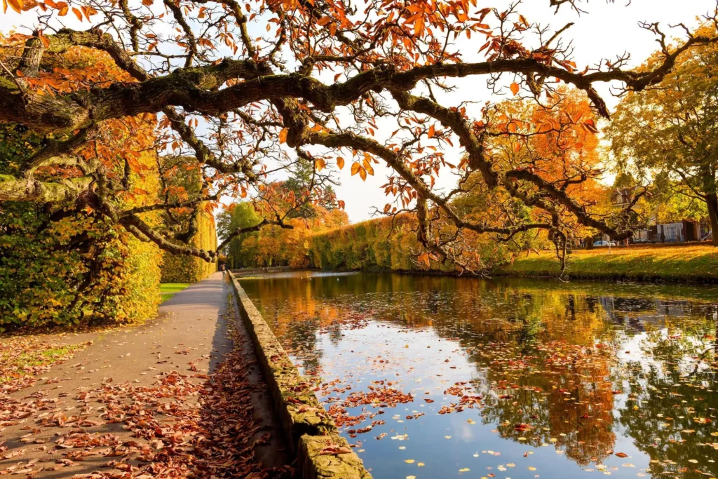 Los Parques Urbanos que Brillan en Otoño: Un Viaje por la Naturaleza en la Ciudad