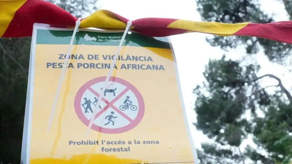 Medidas Urgentes ante el Brote de Peste Porcina Africana en Cataluña