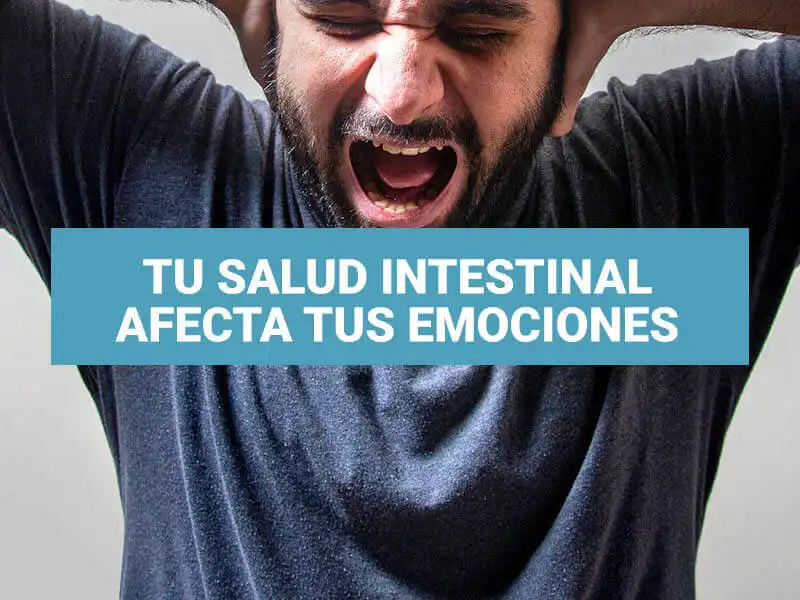 Microbiota intestinal: ¿cómo afecta tu salud y por qué es clave en enfermedades modernas?
