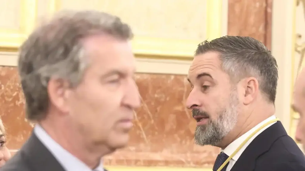 Fragmentación de la derecha en España: PP y Vox frente a sus homólogos globales